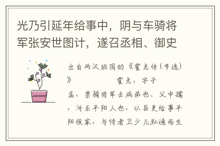光乃引延年給事中，陰與車騎將軍張安世圖計，遂召丞相、御史、將軍、列侯、中二千石、大夫、博士會議未央宮