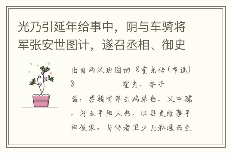 光乃引延年给事中，阴与车骑将军张安世图计，遂召丞相、御史、将军、列侯、中二千石、大夫、博士会议未央宫