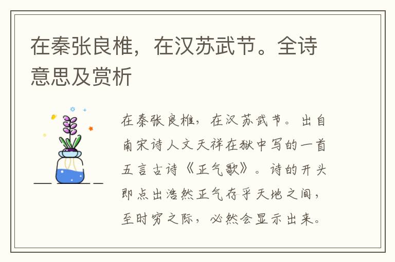 在秦张良椎，在汉苏武节。全诗意思及赏析