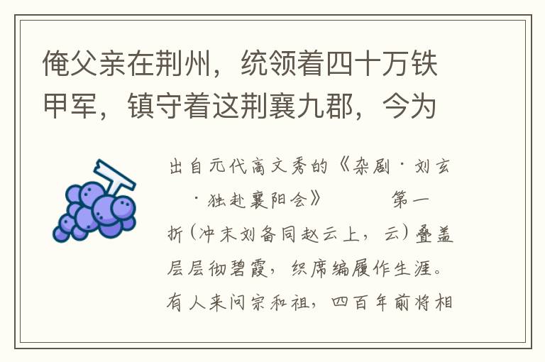 俺父親在荊州，統(tǒng)領(lǐng)著四十萬鐵甲軍，鎮(zhèn)守著這荊襄九郡，今為襄王