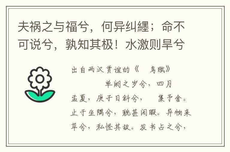 夫禍之與福兮，何異糾纆；命不可說兮，孰知其極！水激則旱兮，矢激則遠；萬物回薄兮，振蕩相轉。