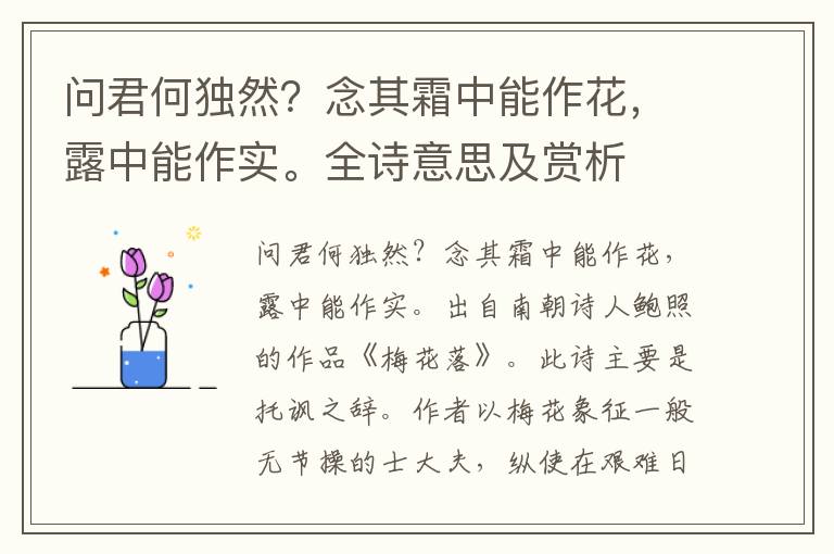 問君何獨然？念其霜中能作花，露中能作實。全詩意思及賞析