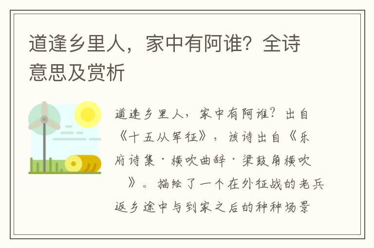 道逢乡里人，家中有阿谁？全诗意思及赏析