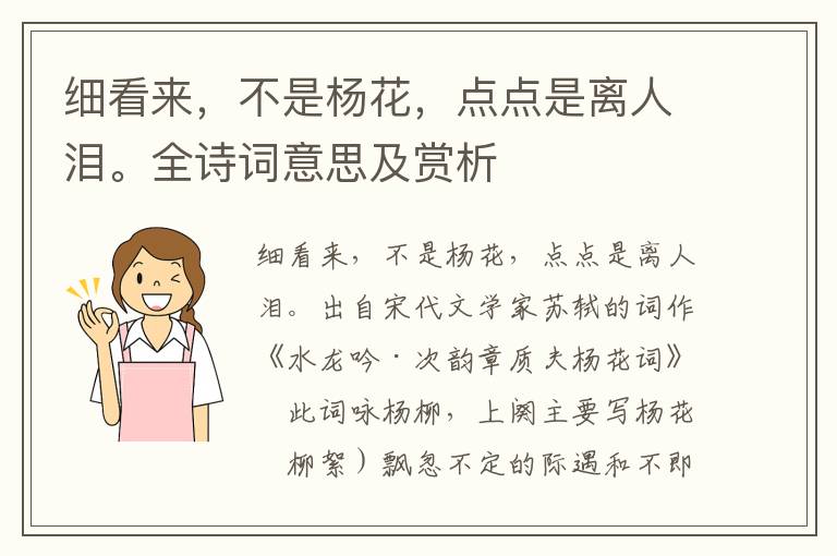 細看來，不是楊花，點點是離人淚。全詩詞意思及賞析